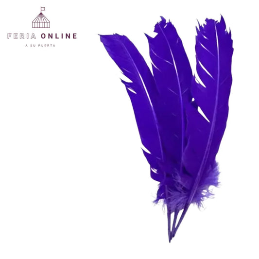 Pluma decorativa