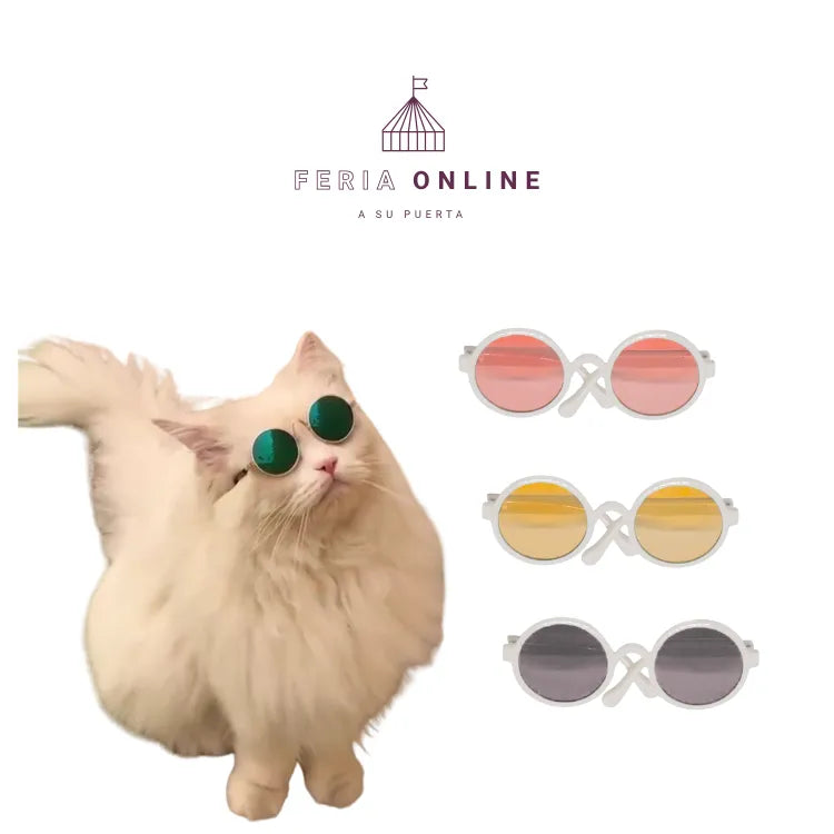 Gafas Redondas para Mascotas