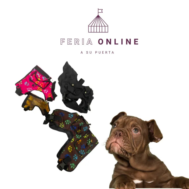 Chalecos Para Perro