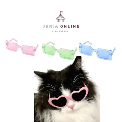 Gafas Cuadradas para Mascotas