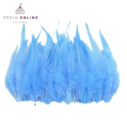 Plumas Pequeñas