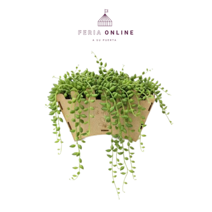 Jardinera Grande En Madera