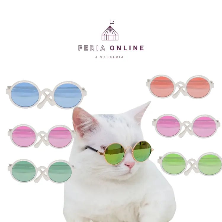Gafas Redondas para Mascotas