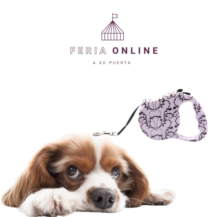 Correa Retráctil Estampada 3mt.