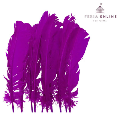 Pluma decorativa