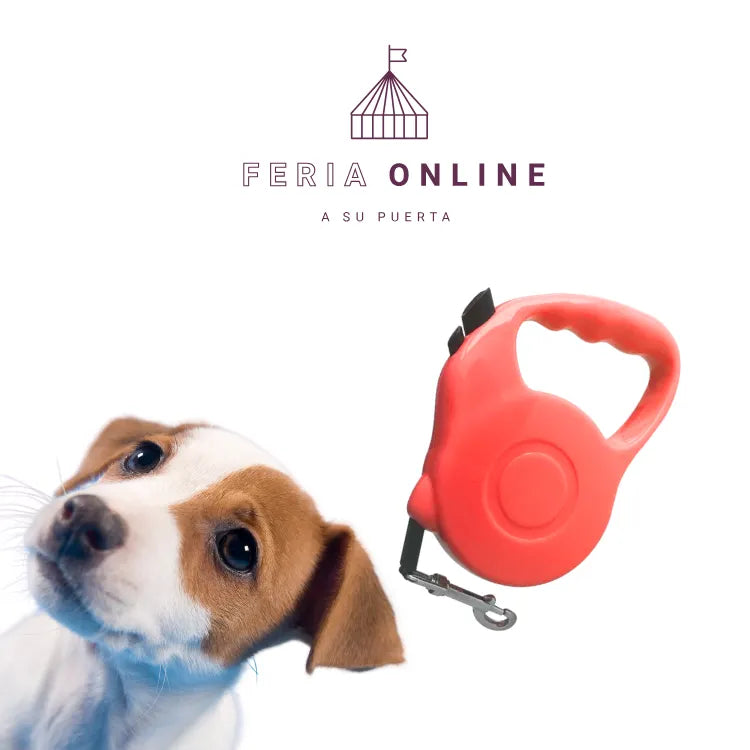 Correa Retráctil 5M