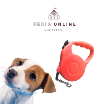 Correa Retráctil 5M