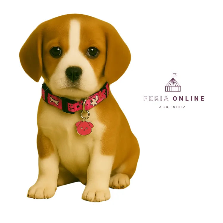 Cuello 3/4 Para Mascotas