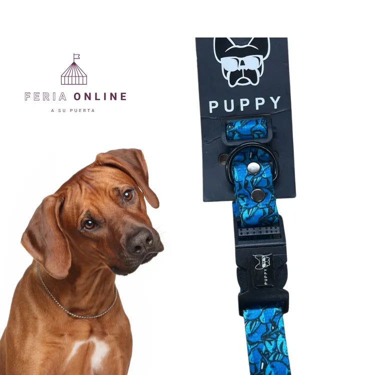 collar De Lujo Puppy Store