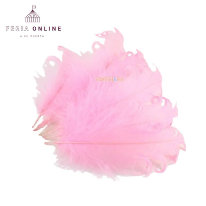 Pluma decorativa