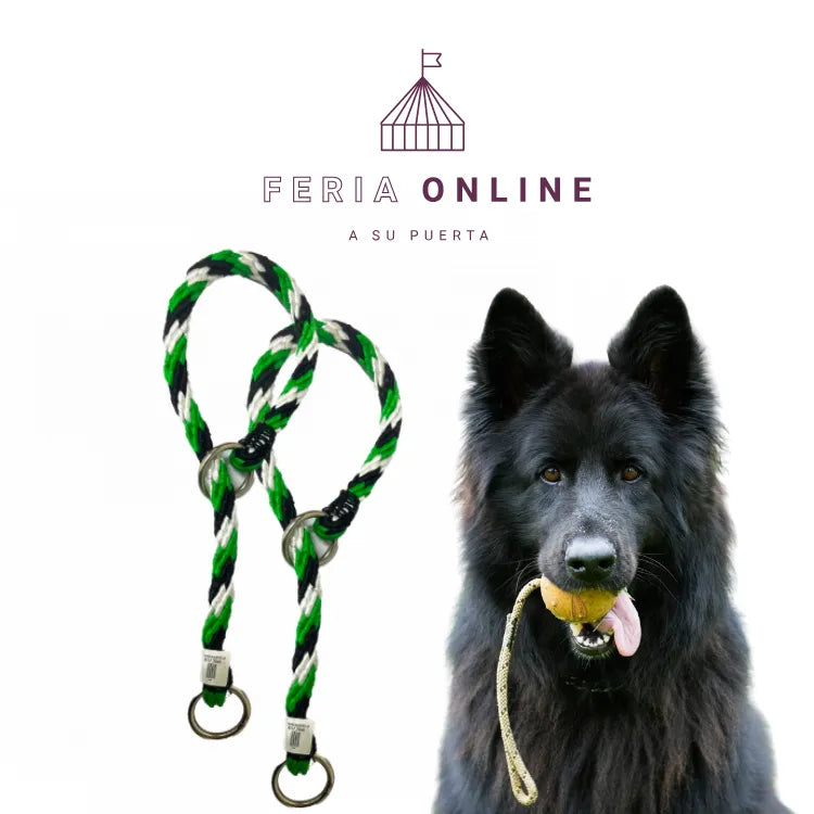 Lazo De Ahogo Para Mascotas Grueso