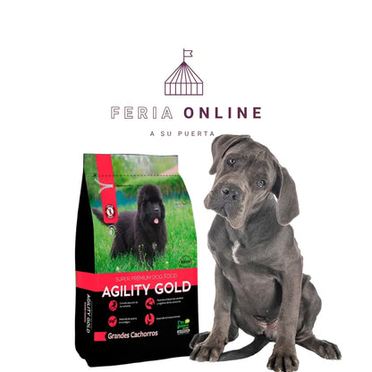 Agility Gold Perros Cachorros Razas Grandes