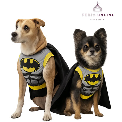 Disfraz Batman