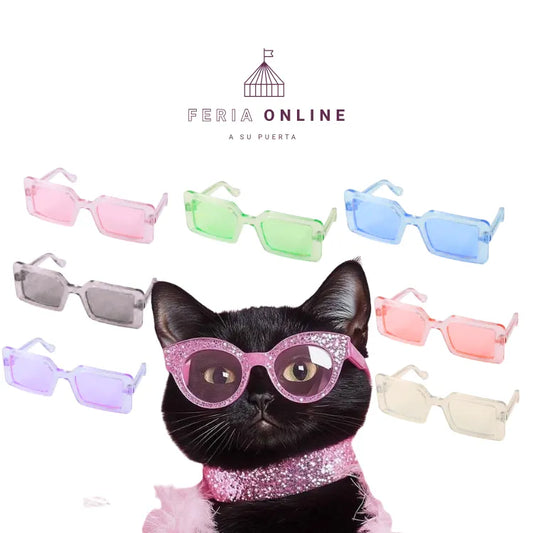 Gafas Cuadradas para Mascotas