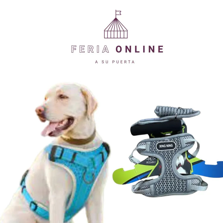 Pechera Con Lazo Mediana Para Mascota