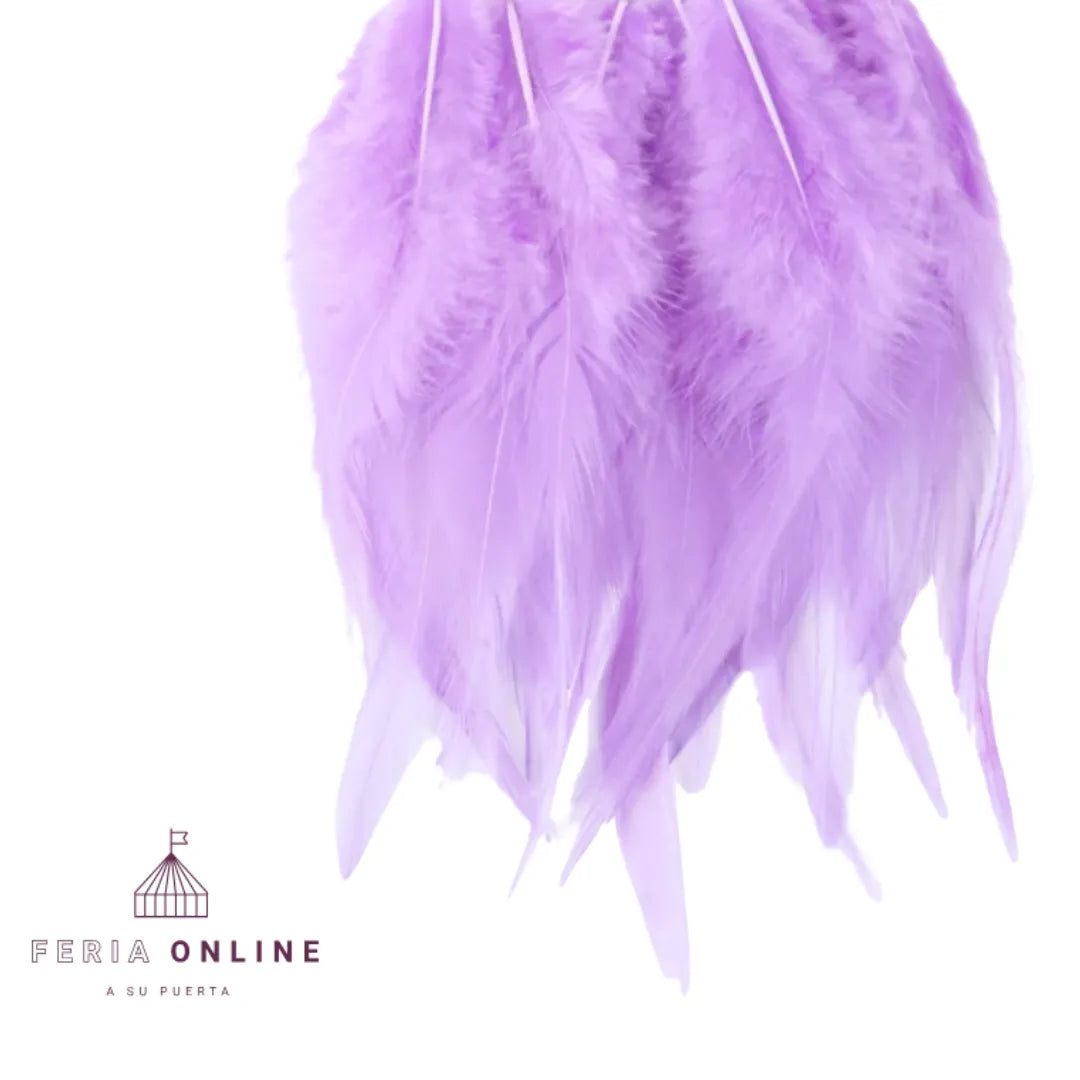 Plumas Pequeñas