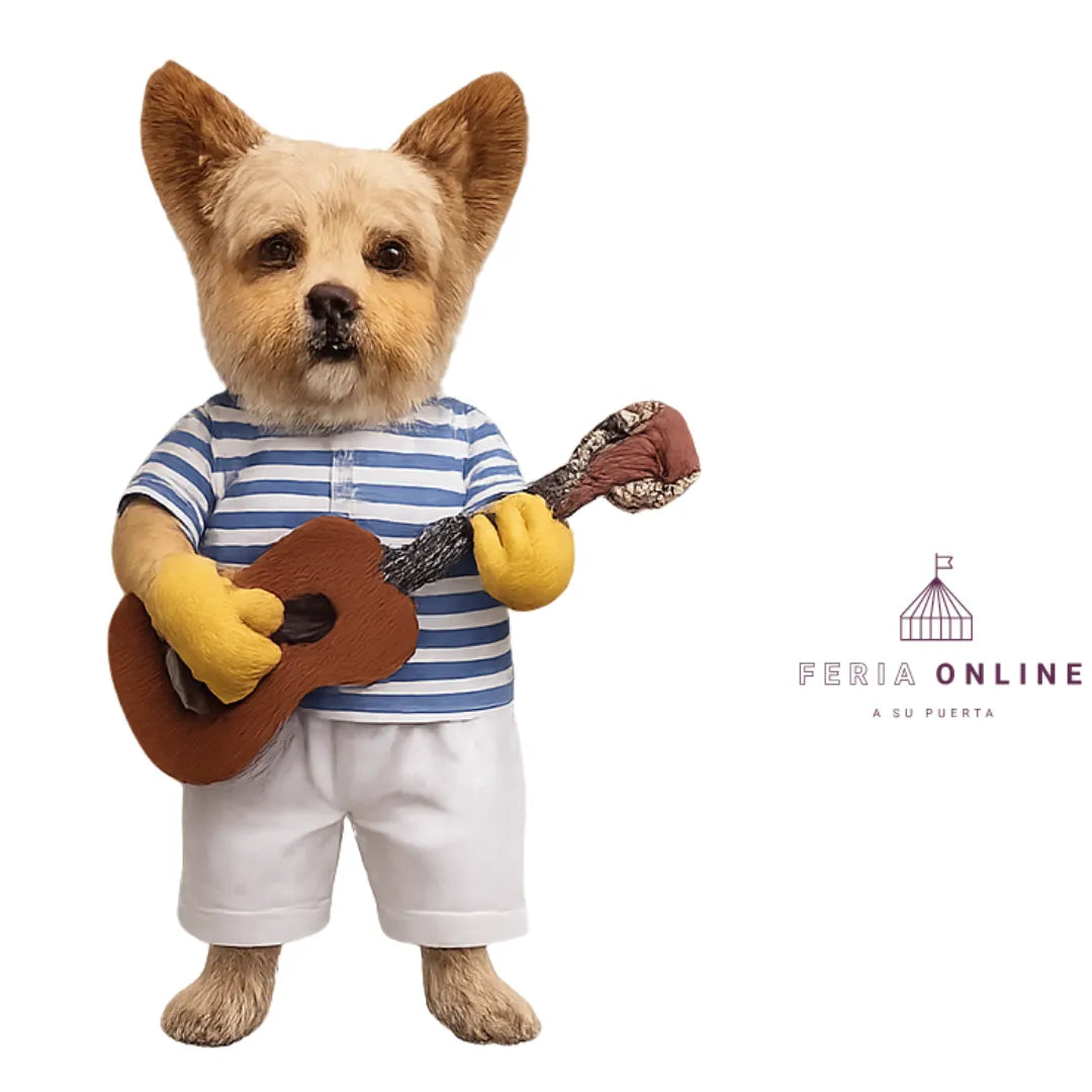 Disfraz Guitarrista