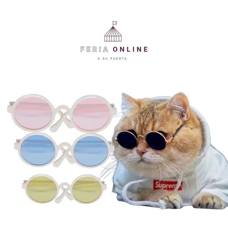 Gafas Redondas para Mascotas
