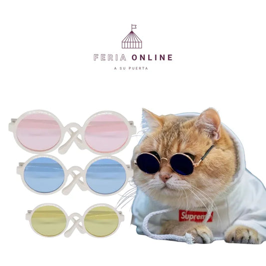 Gafas Redondas para Mascotas