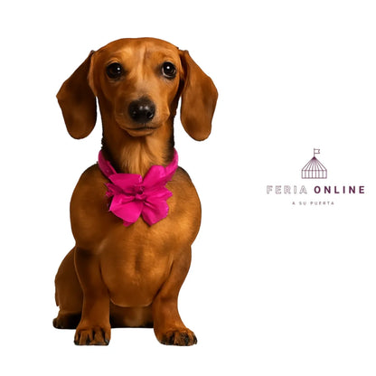 Collar Con Moño Para Perros