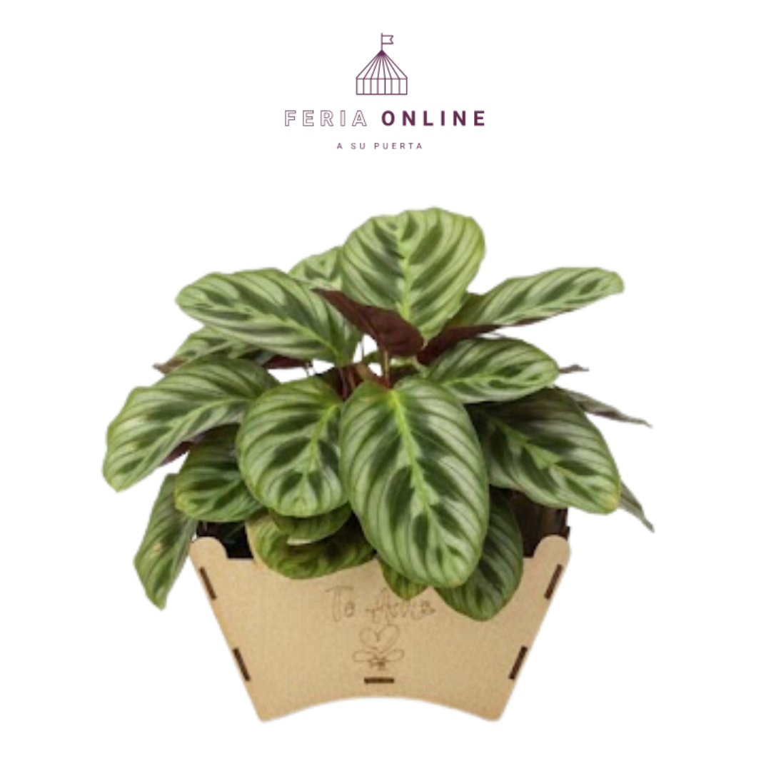 Jardinera Grande En Madera