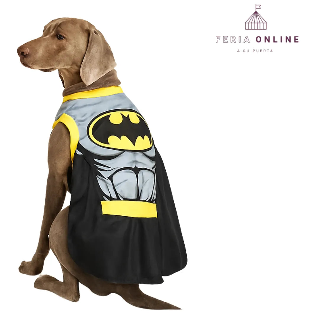 Disfraz Batman