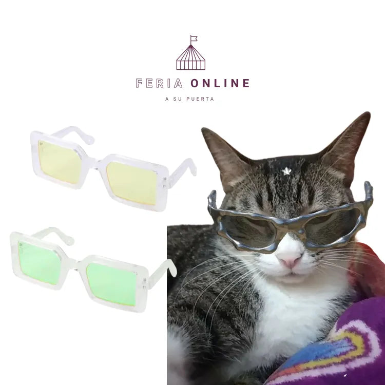 Gafas Cuadradas para Mascotas