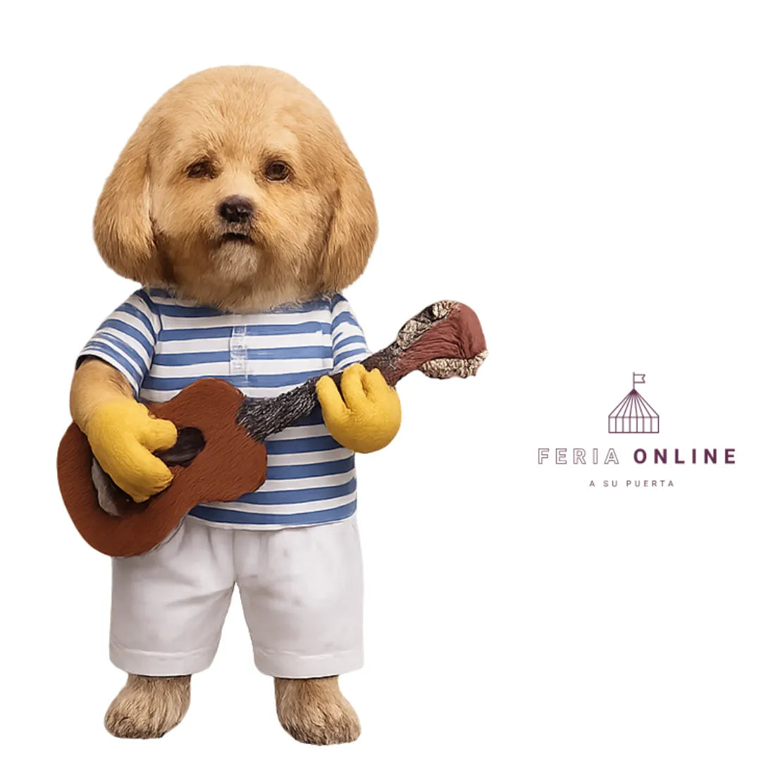Disfraz Guitarrista