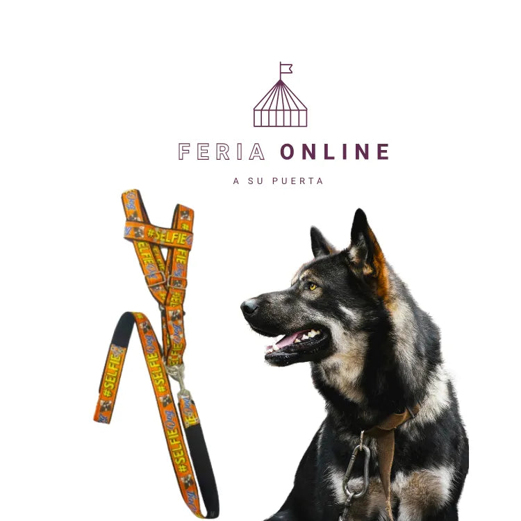 Pechera Cocida Jumbo