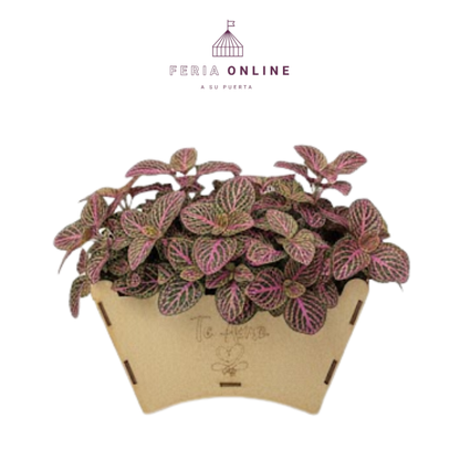 Jardinera Grande En Madera