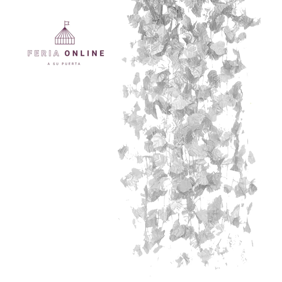 Enredadera Decorativa