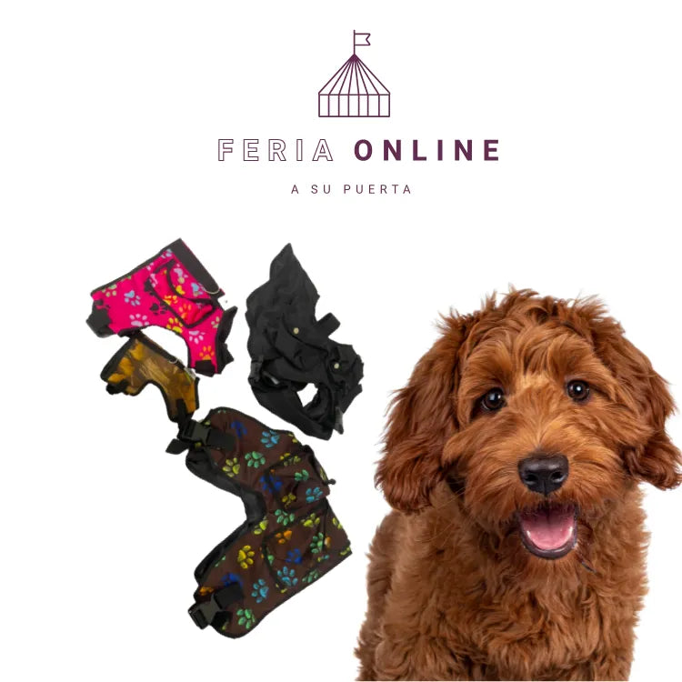 Chalecos Para Perro