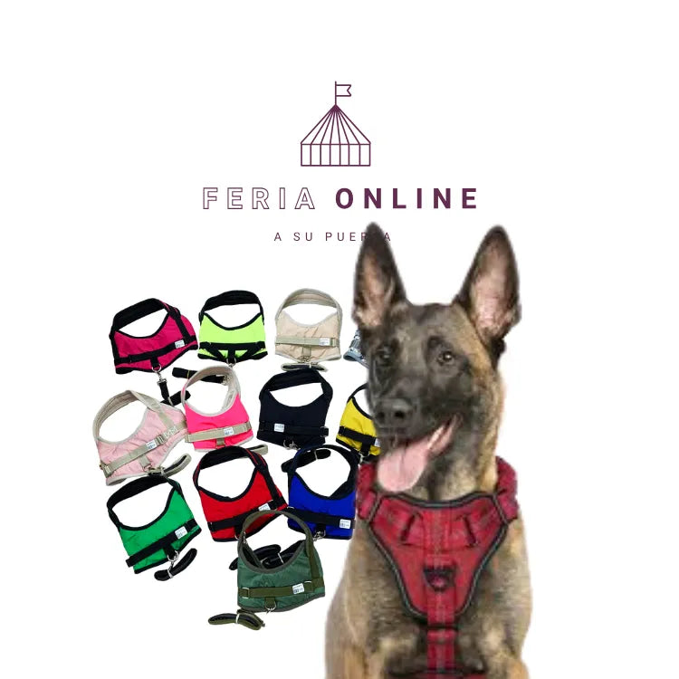 Pechera para Perros con Triadilla
