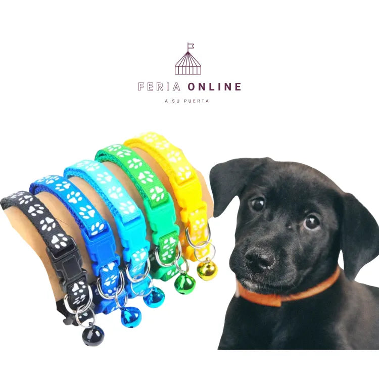 Collar Para Perros De Razas Grandes