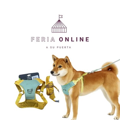 Pecheras Medianas Para Mascota