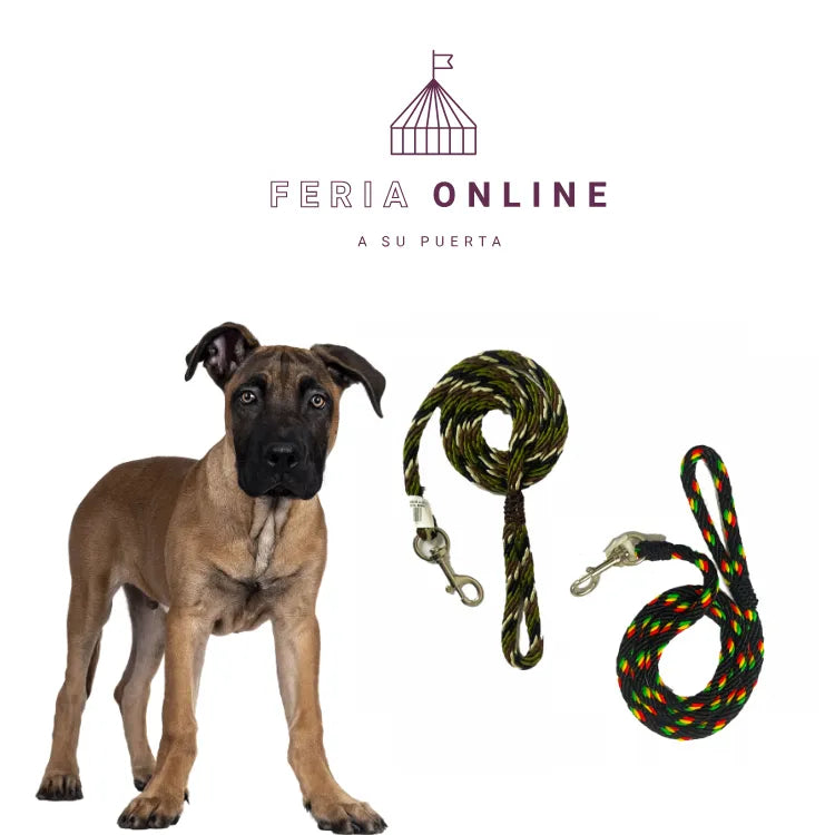 Lazo Paseador Para Mascota Calibre 12