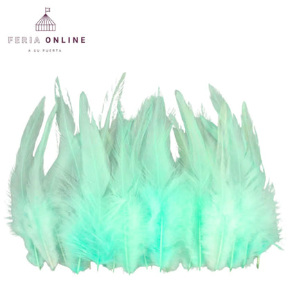 Plumas Pequeñas