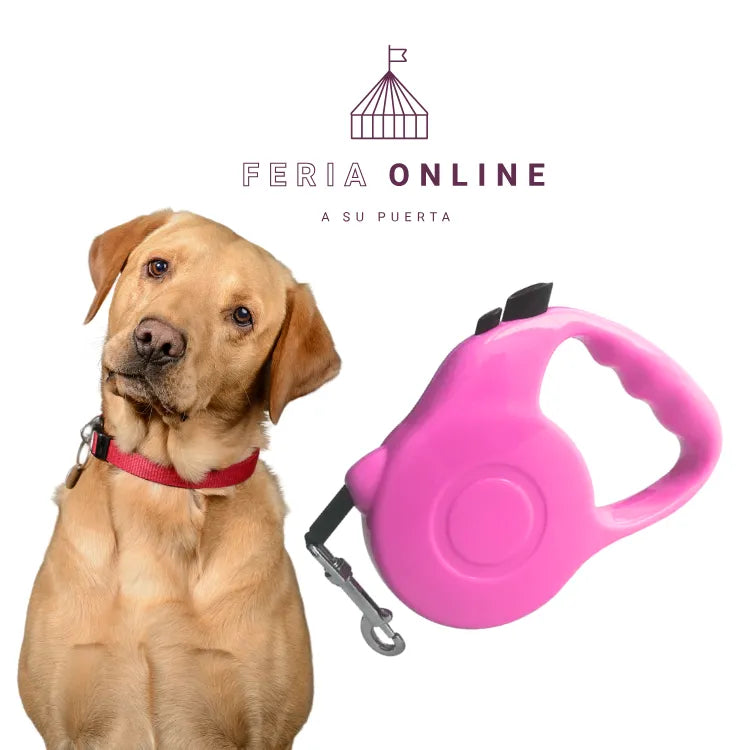 Correa Retráctil 5M