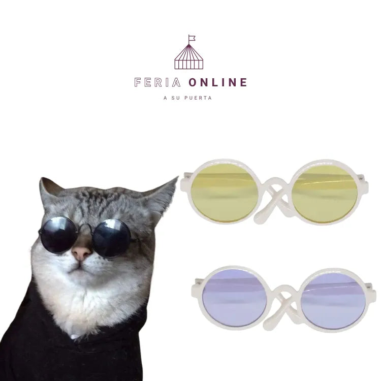 Gafas Redondas para Mascotas
