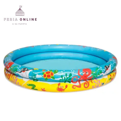Piscina Infantil Con Pelota Y Aro Inflable