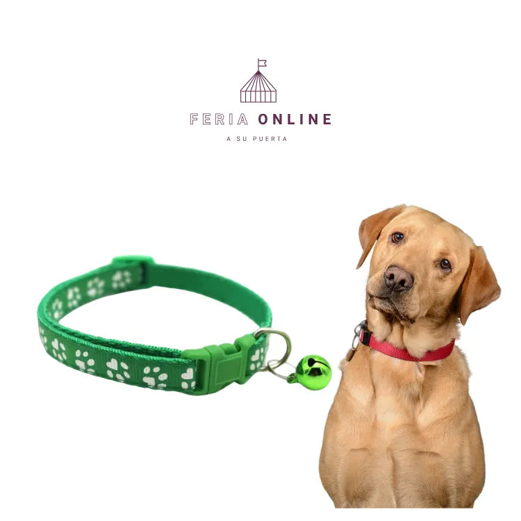 Collar Para Perros De Razas Grandes