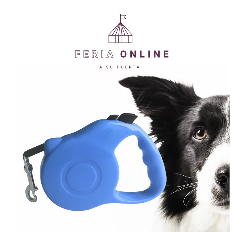 Correa Retráctil 5M