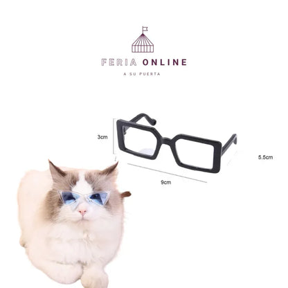 Gafas Cuadradas para Mascotas