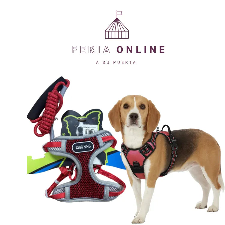 Pechera Con Lazo Mediana Para Mascota