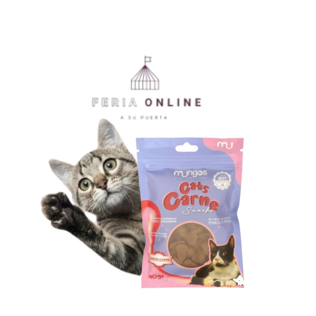 Galletas Cats Carne x 40 GR