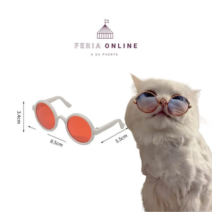 Gafas Redondas para Mascotas