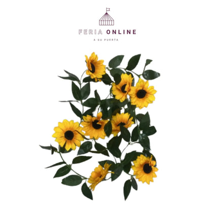 Enredadera Decorativa