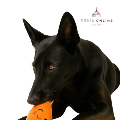Juguete Peluche De Zanahoria Para Perros