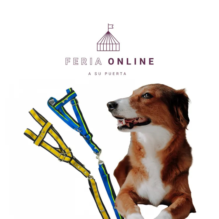 Collar Cinta Punteada Grande