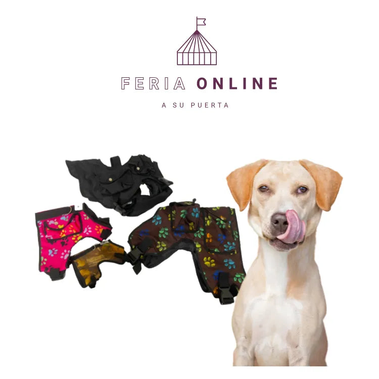 Chalecos Para Perro